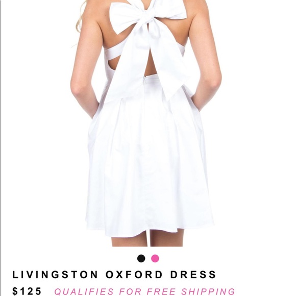 Lauren James Livingston Oxford Dress White New XS - Picture 7 of 8